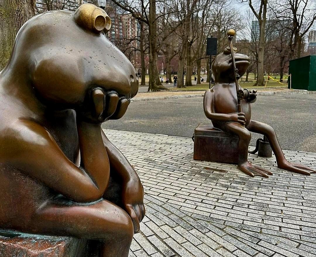 Boston Common Frog Pond photo 3
