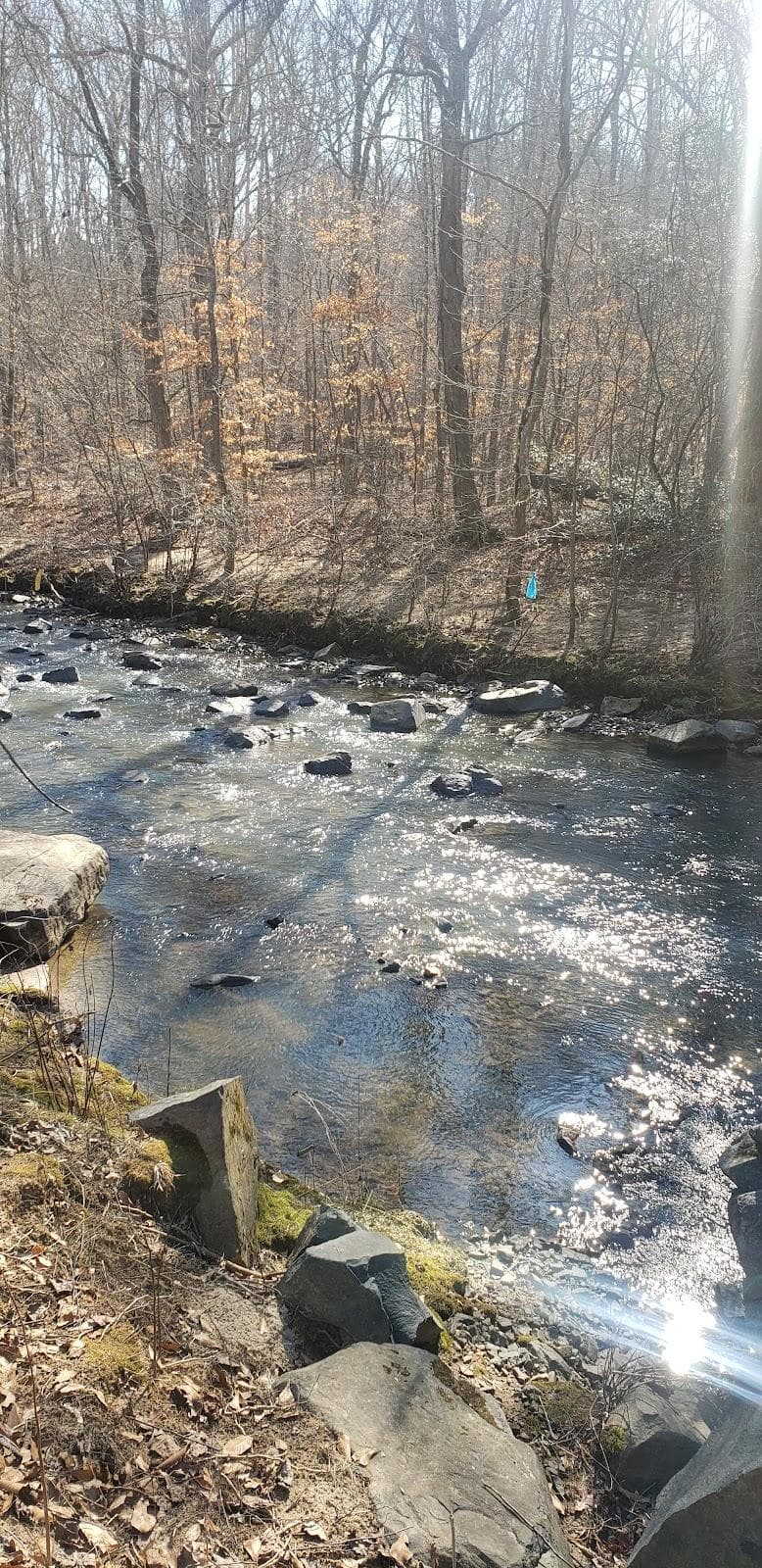 Mount Holly photo 6