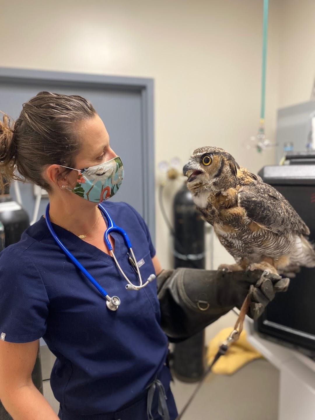 Avian & Exotic Philly Vet Medical Surgical Clinic photo 3