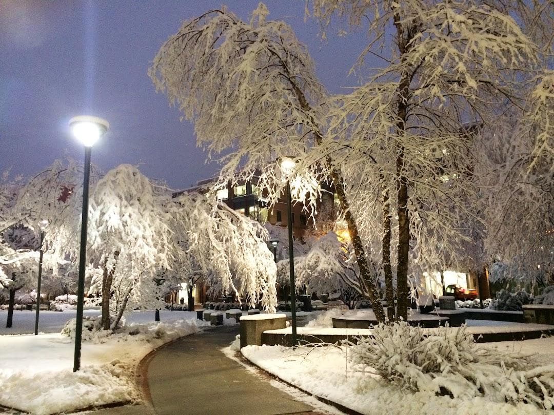 University Park Commons photo 1
