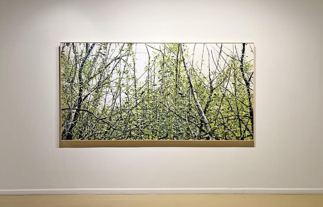 Gallery Henoch photo 5