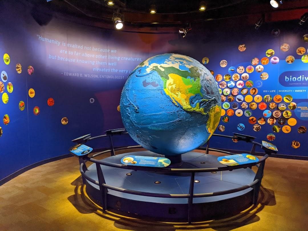 Discovery Place Science photo 4