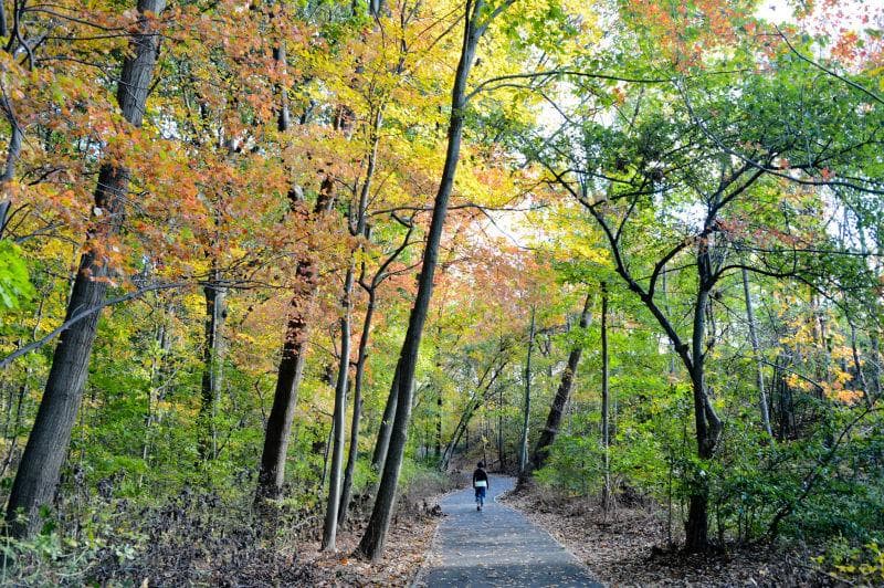 Cunningham Park photo 2
