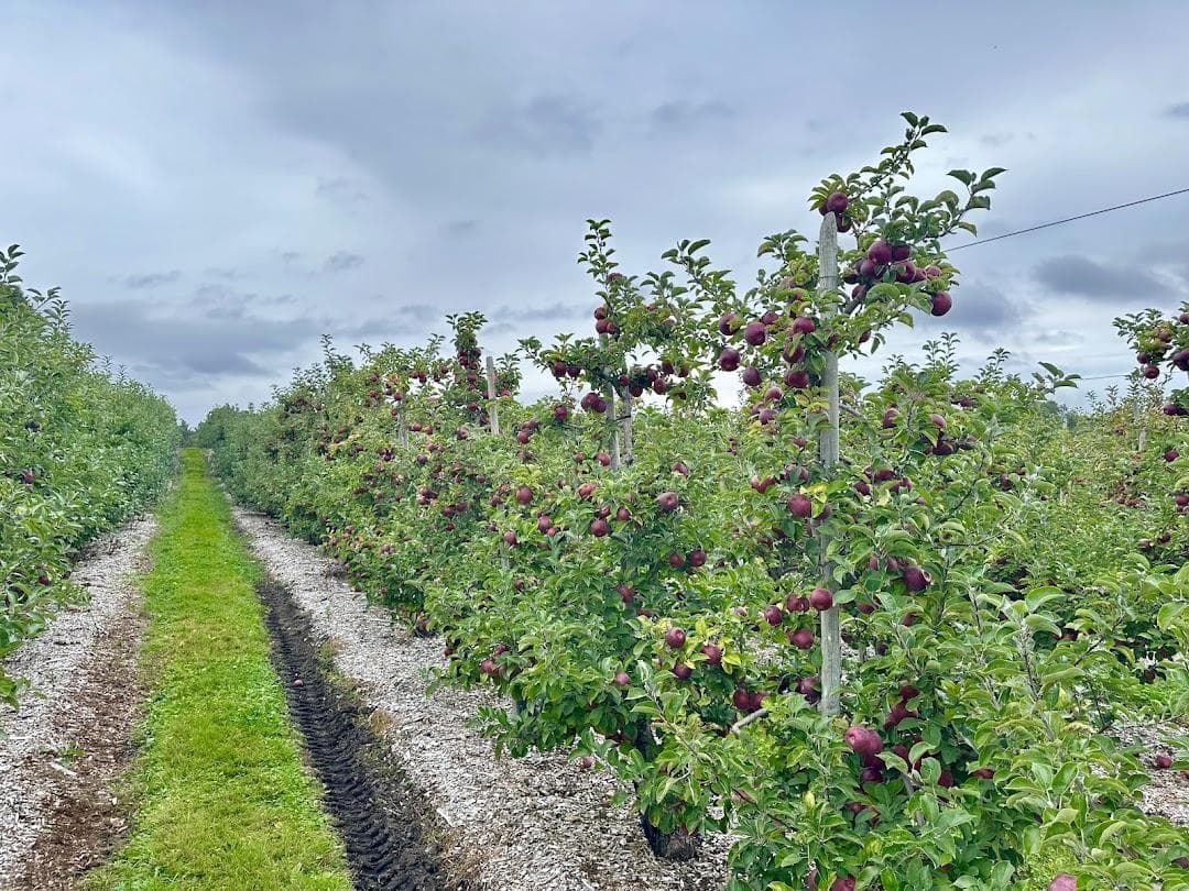 Parlee Farms photo 3