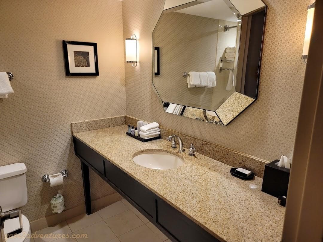 Sheraton Charlotte Airport Hotel photo 4