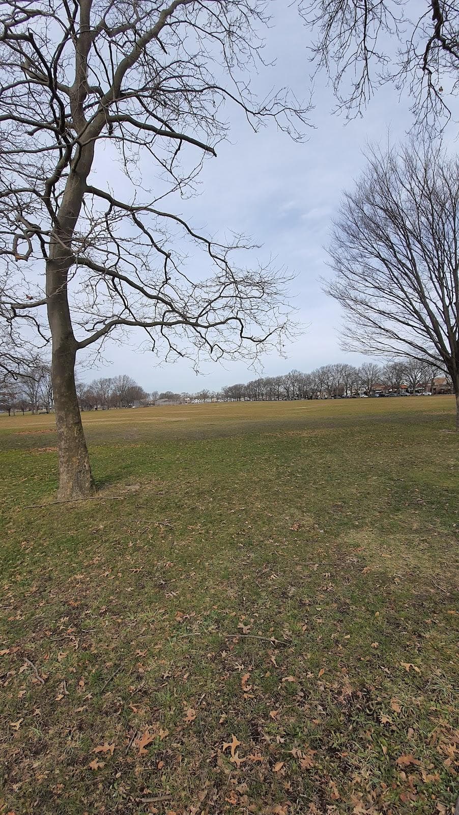 Brooklyn Marine Park - Parking Lot photo 3