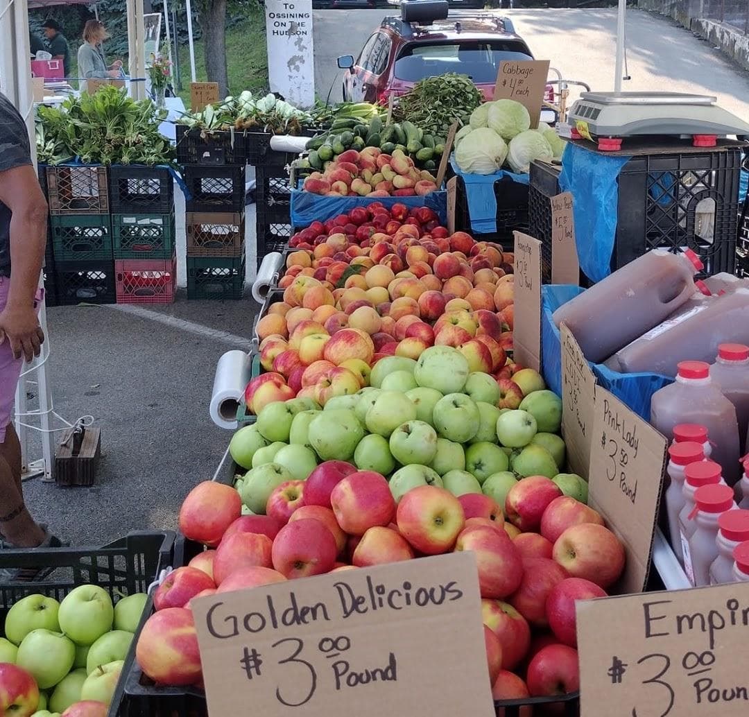 Down to Earth Ossining Farmers Market photo 6