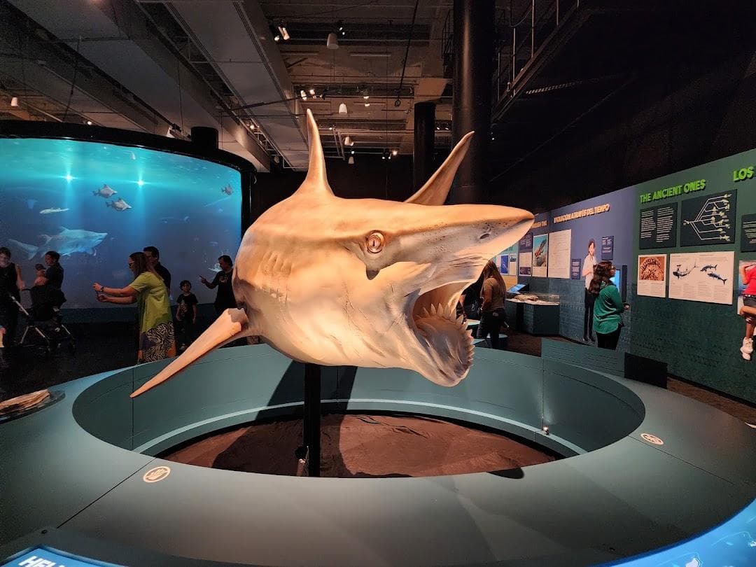 Phillip & Patricia Frost Museum of Science photo 1
