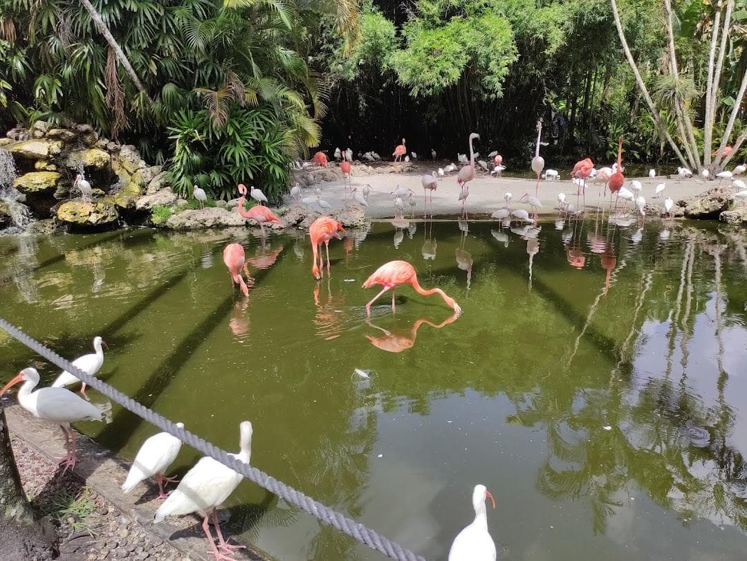Flamingo Gardens photo 2