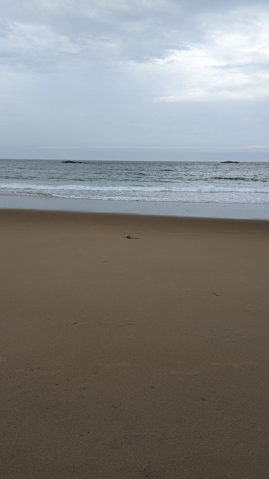 Singing Beach photo 4
