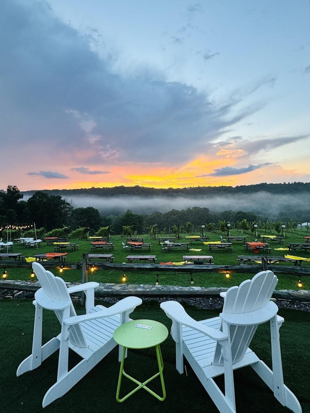Aquila's Nest Vineyards photo 3