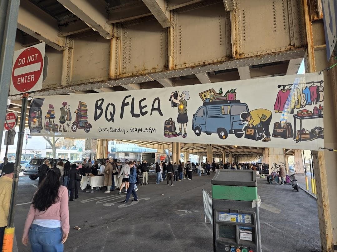 BQ Flea photo 4
