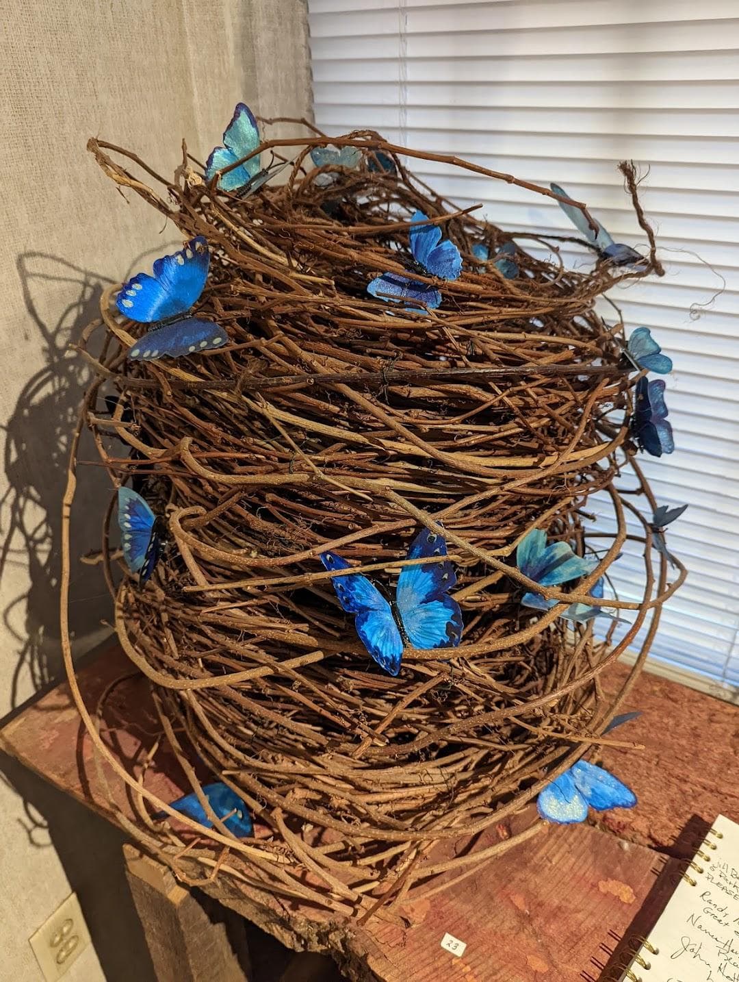 Blue Streak Gallery Inc photo 5