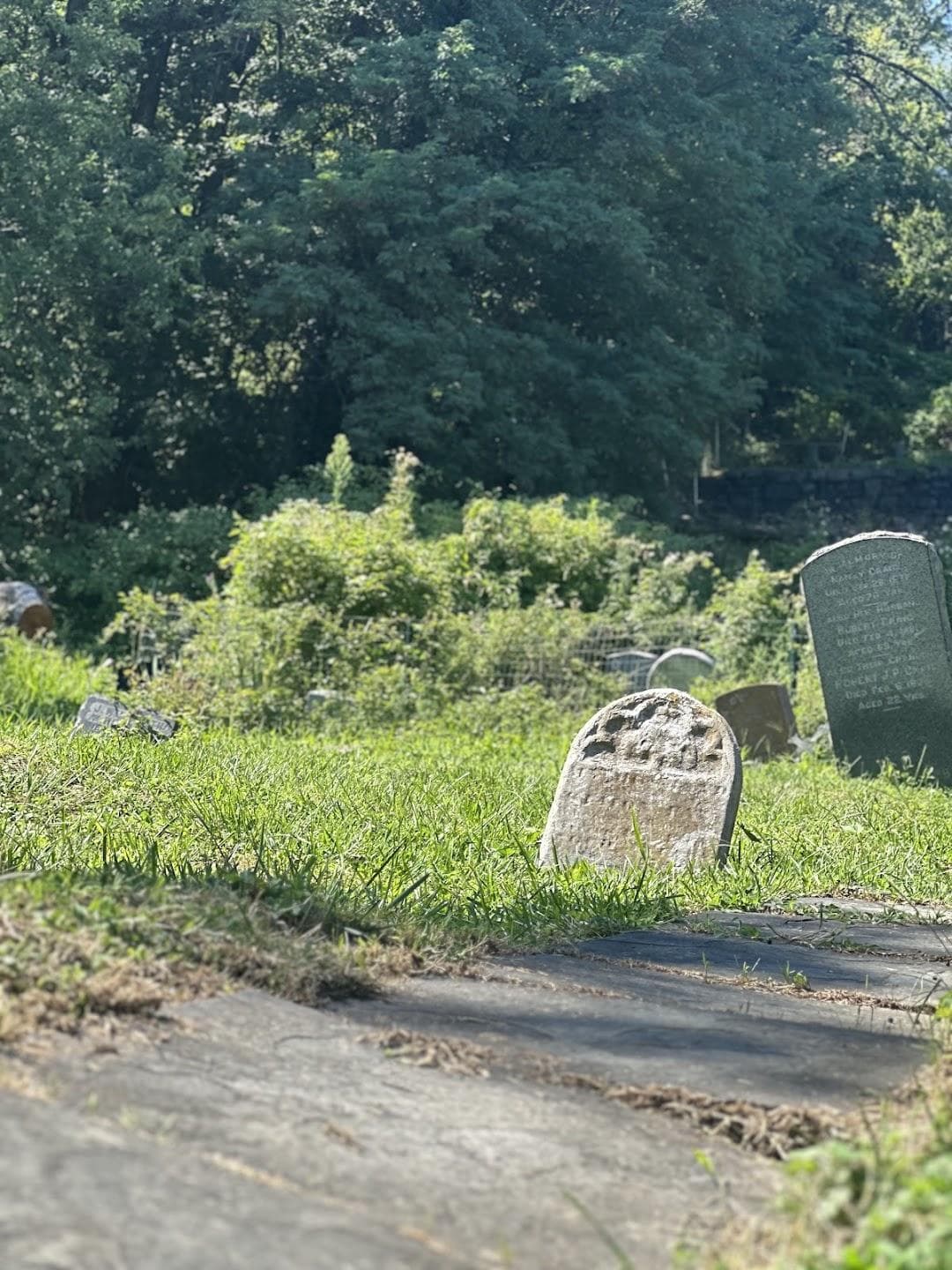 Harsimus Cemetery photo 1