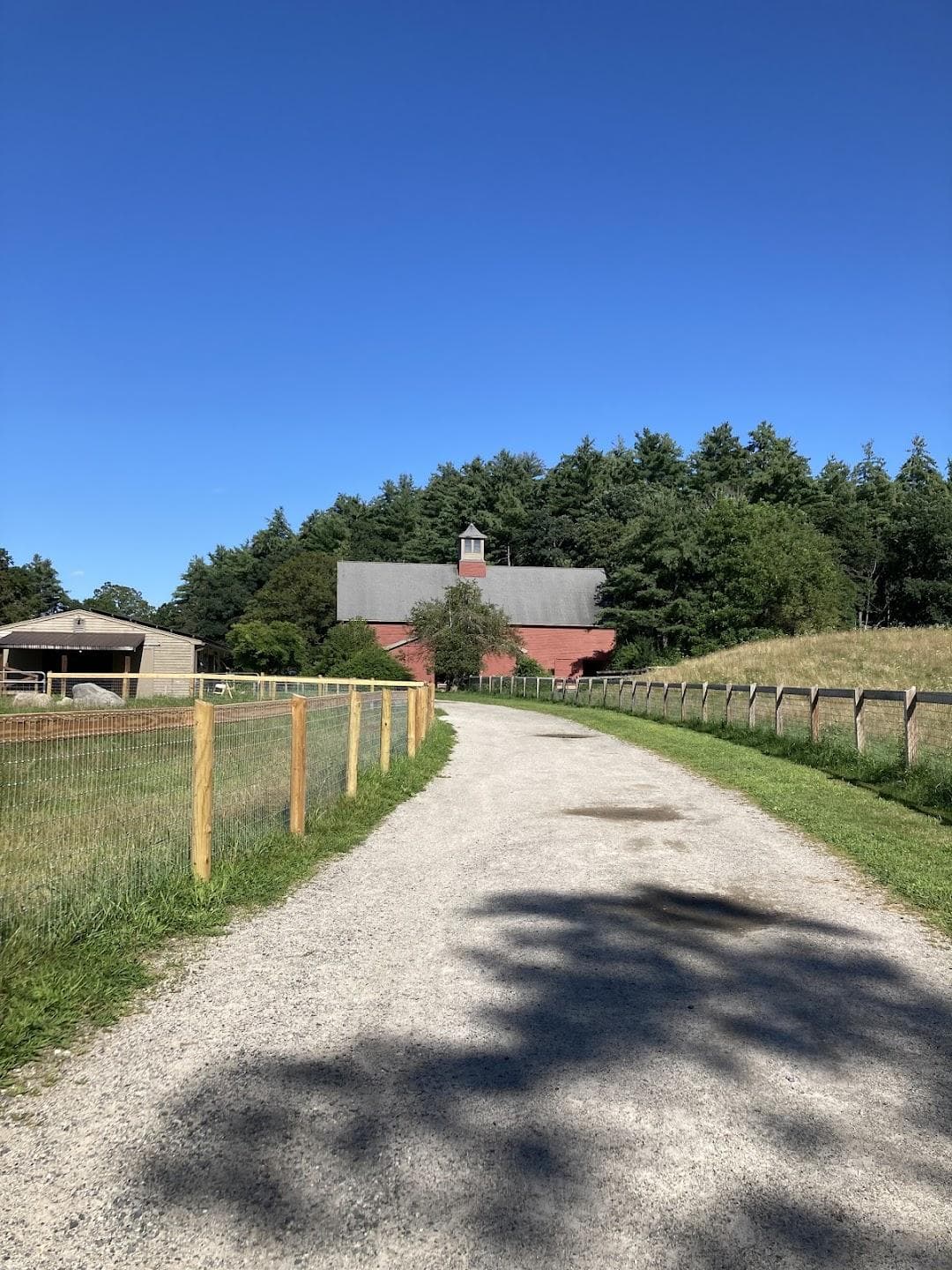 Mass Audubon's Drumlin Farm photo 4