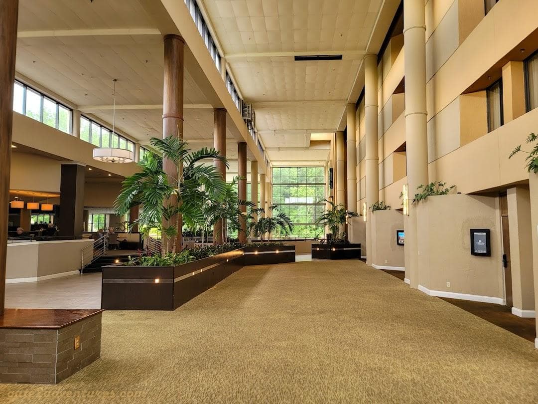 Sheraton Charlotte Airport Hotel photo 3