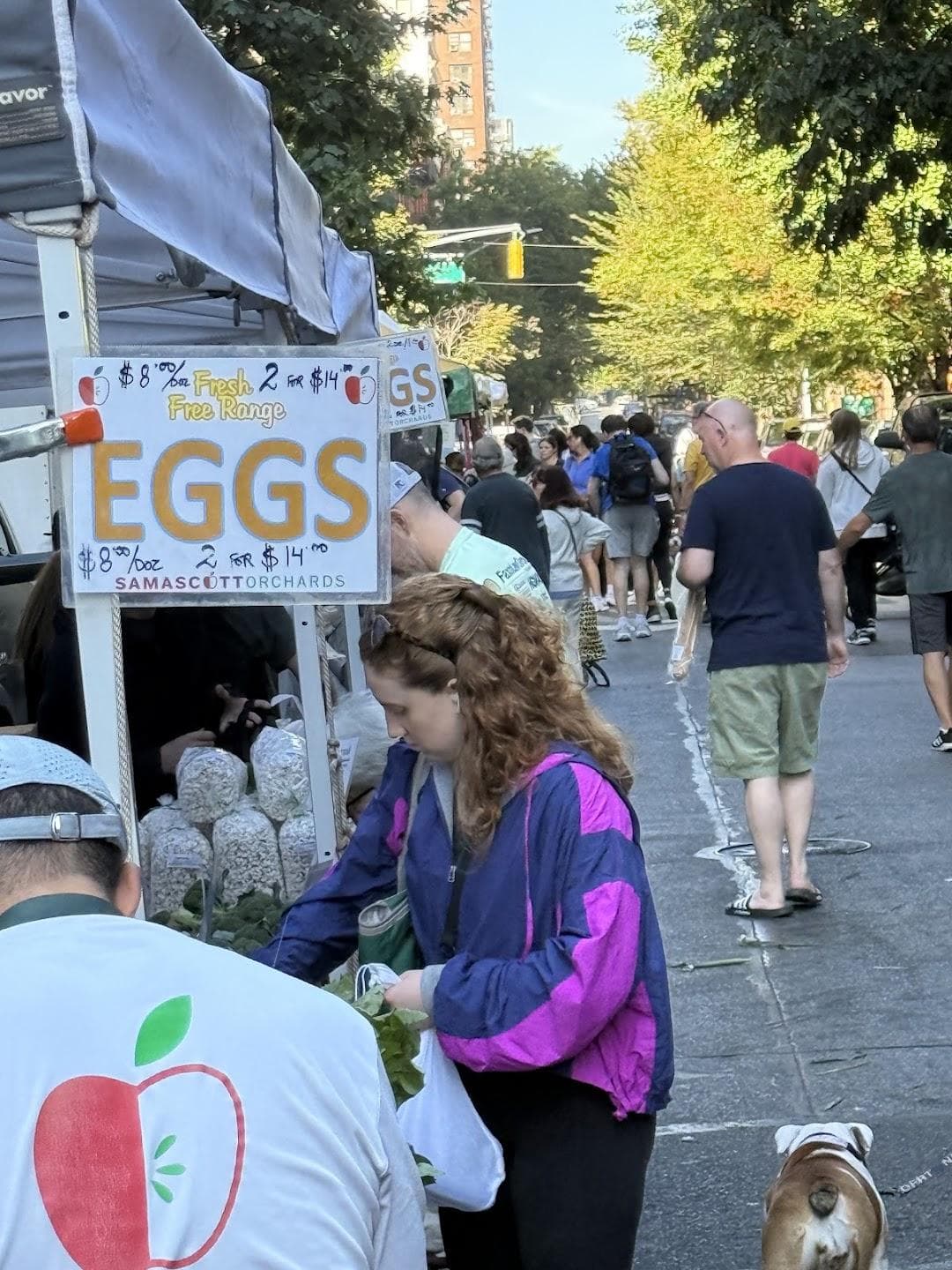 82nd Street Greenmarket photo 5