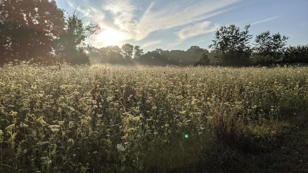 Rock Meadow Conservation Area photo 6