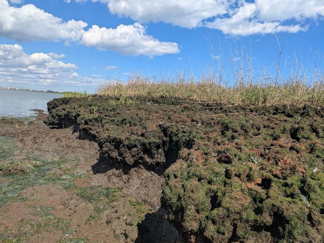 Dubos Point Wildlife Sanctuary photo 4