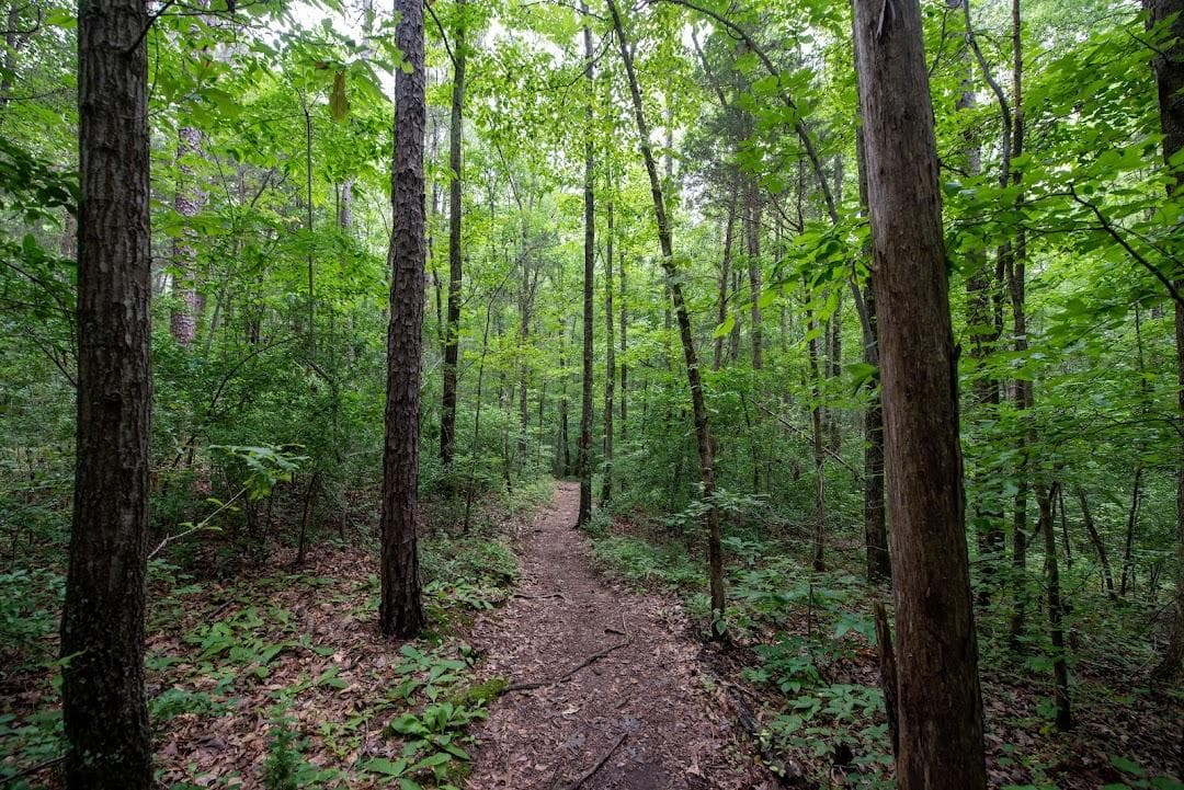 Latta Nature Preserve photo 6
