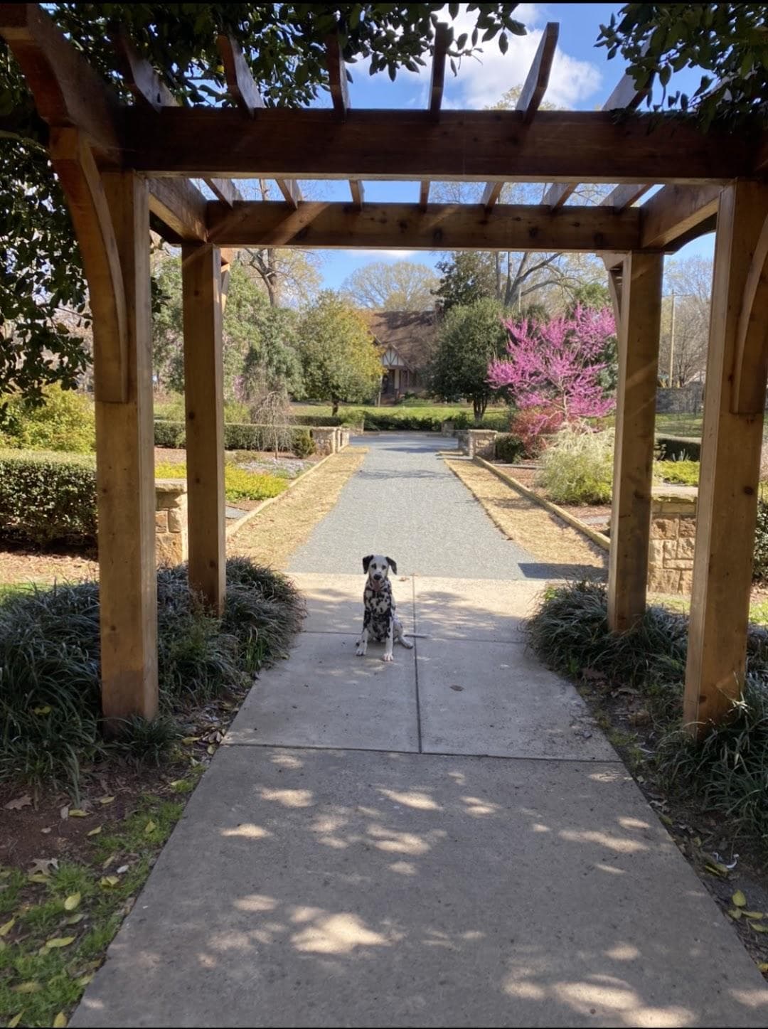 Independence Park photo 3