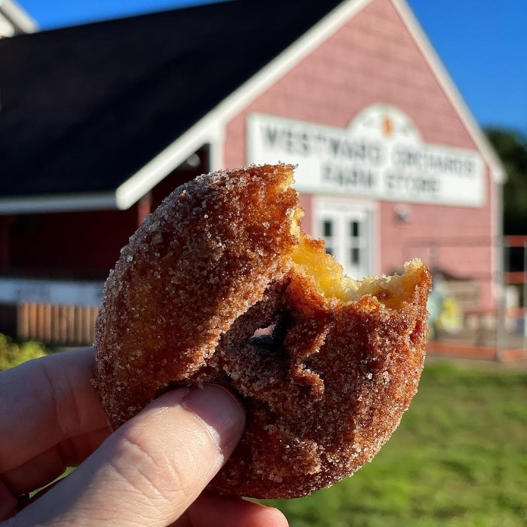Westward Orchards photo 1