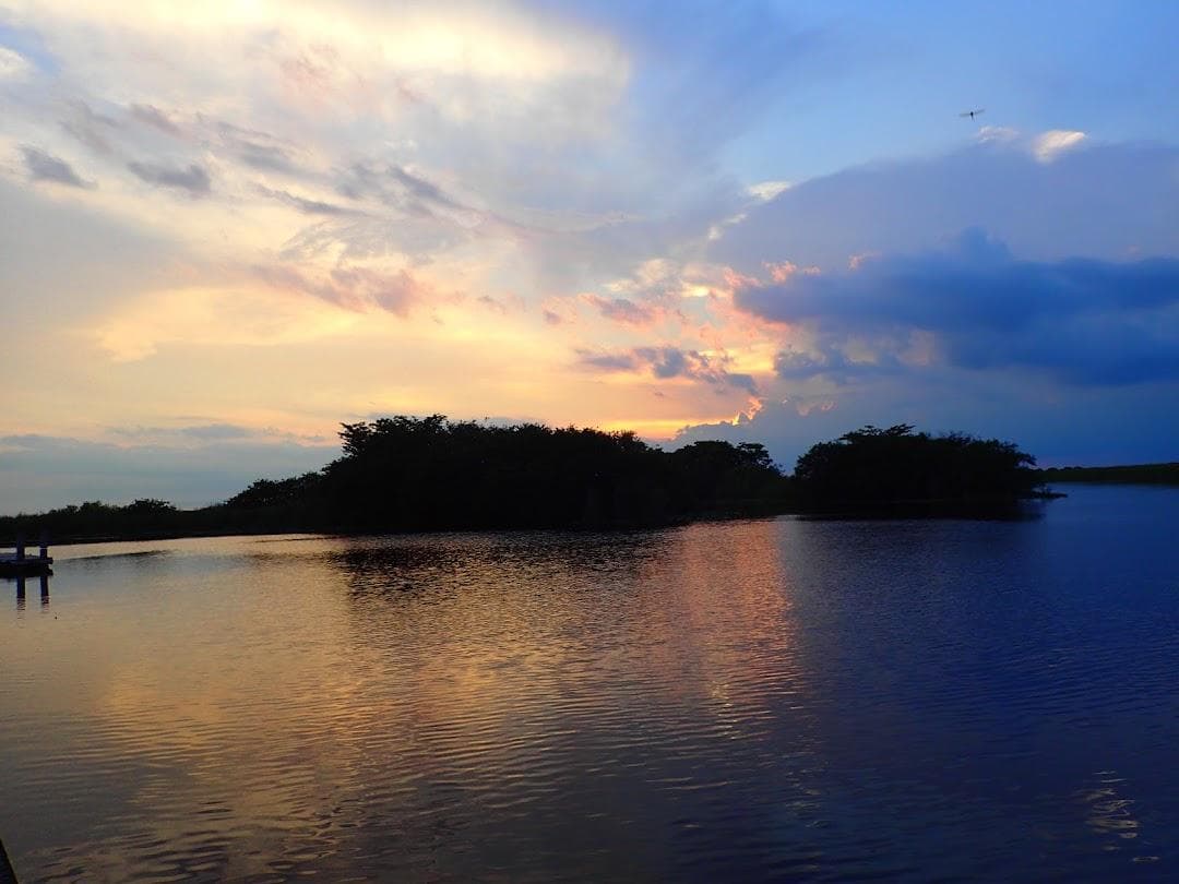 Cooper City Pool & Tennis Center Park photo 1