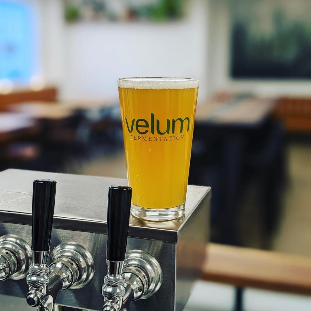 Velum Fermentation photo 1