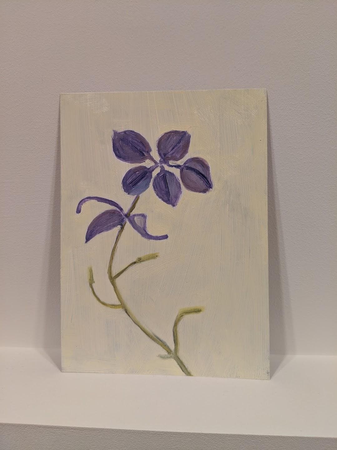 Alexandre Gallery photo 5