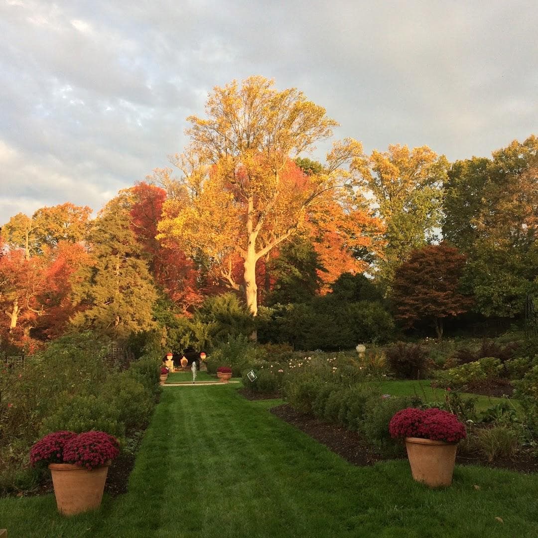 Rose Garden photo 6