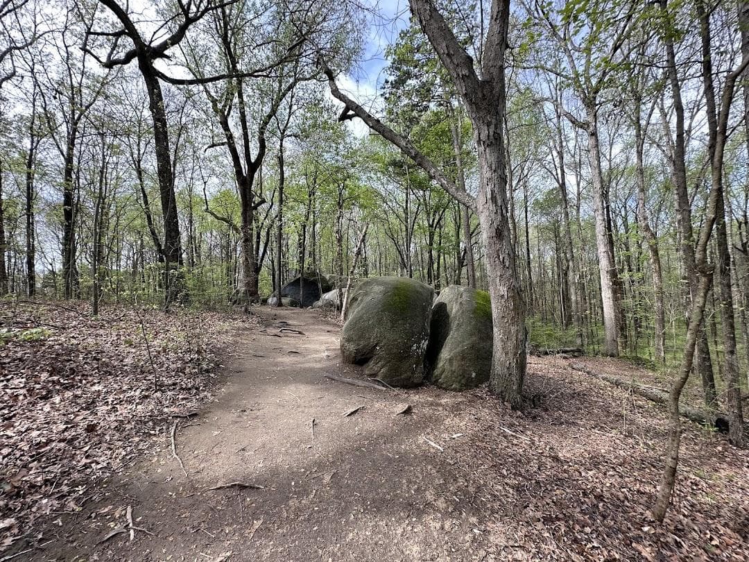 Big Rock Nature Preserve photo 5