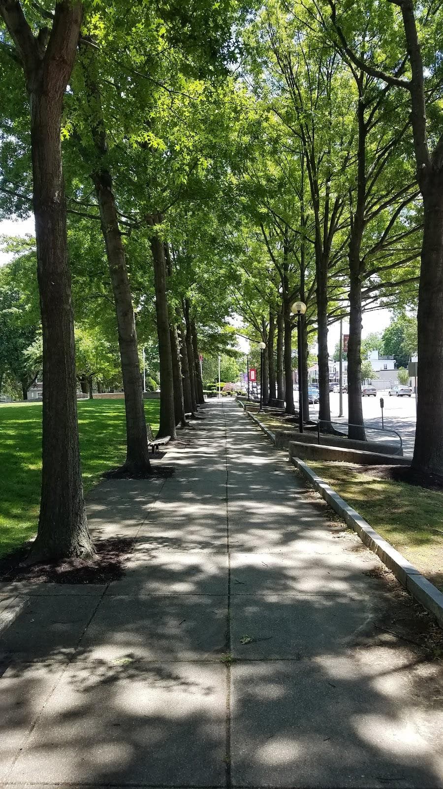 Saltonstall Park photo 4