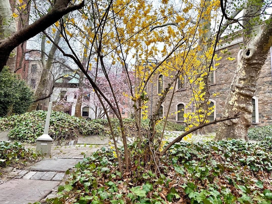 St. Mark's Church in-the-Bowery photo 6