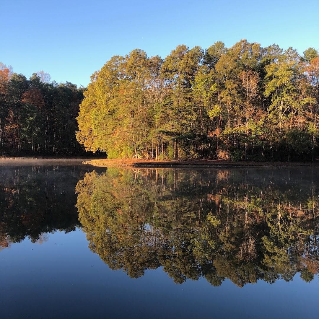 Dan Nicholas Park photo 3
