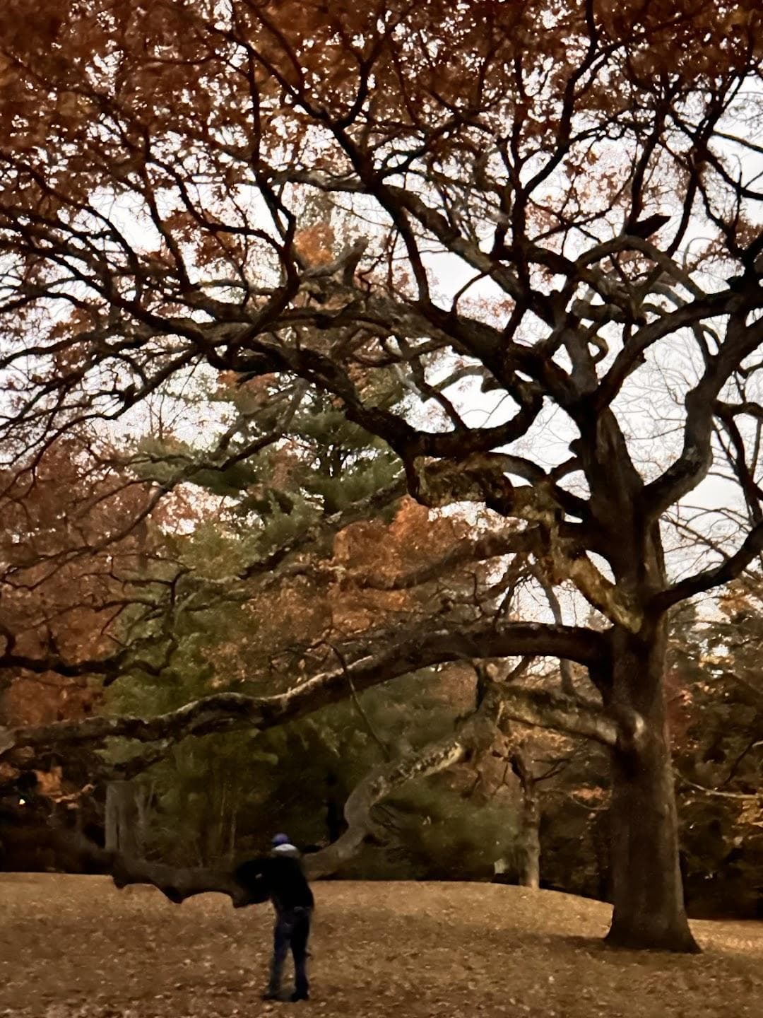 Edgerton Park photo 5