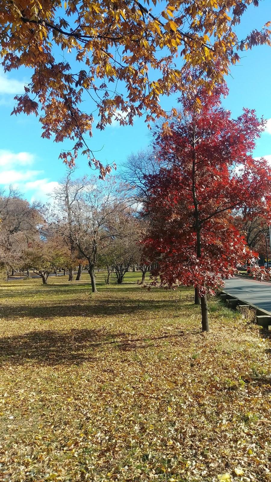 Pelham Parkway photo 3