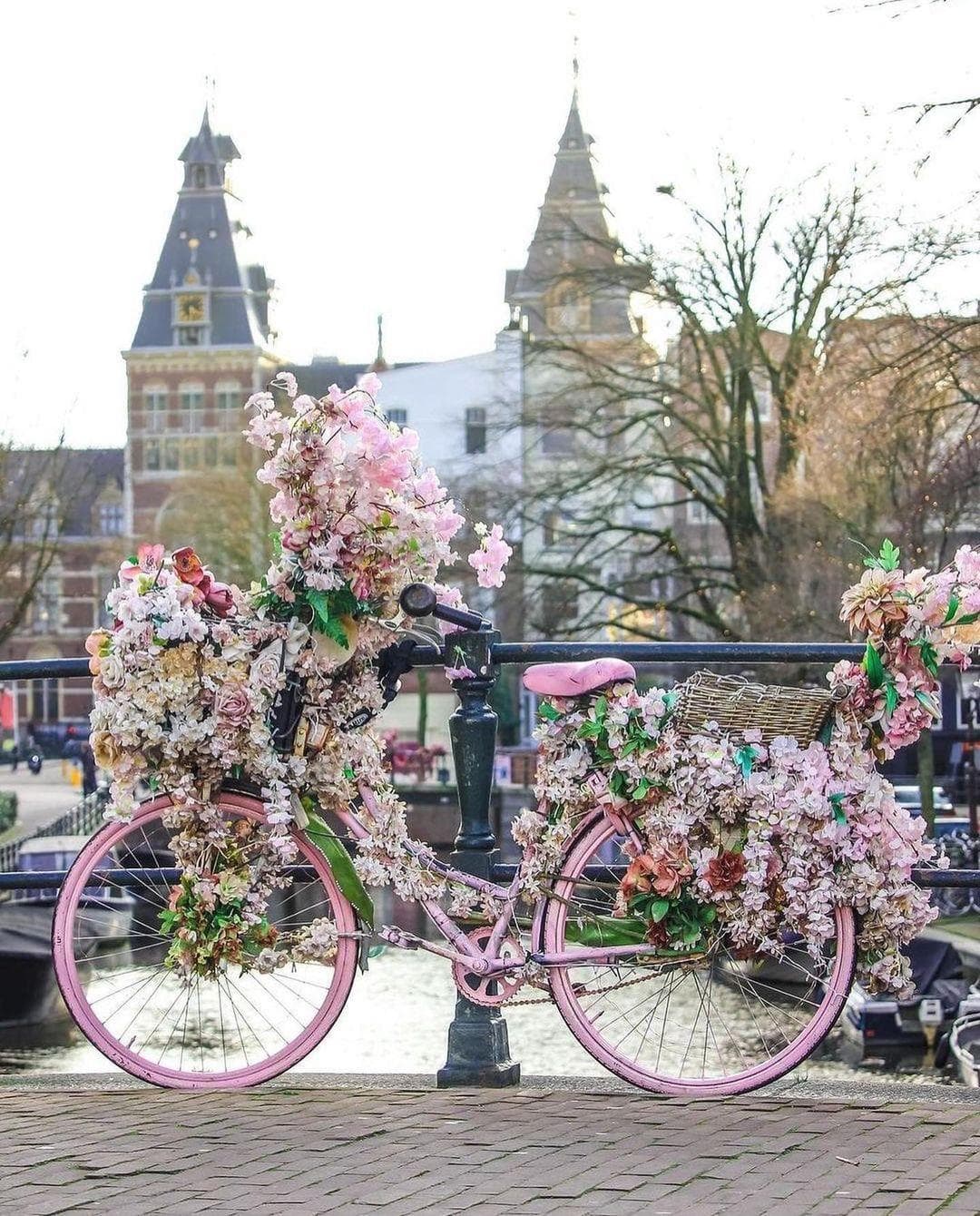 Amsterdam photo 4