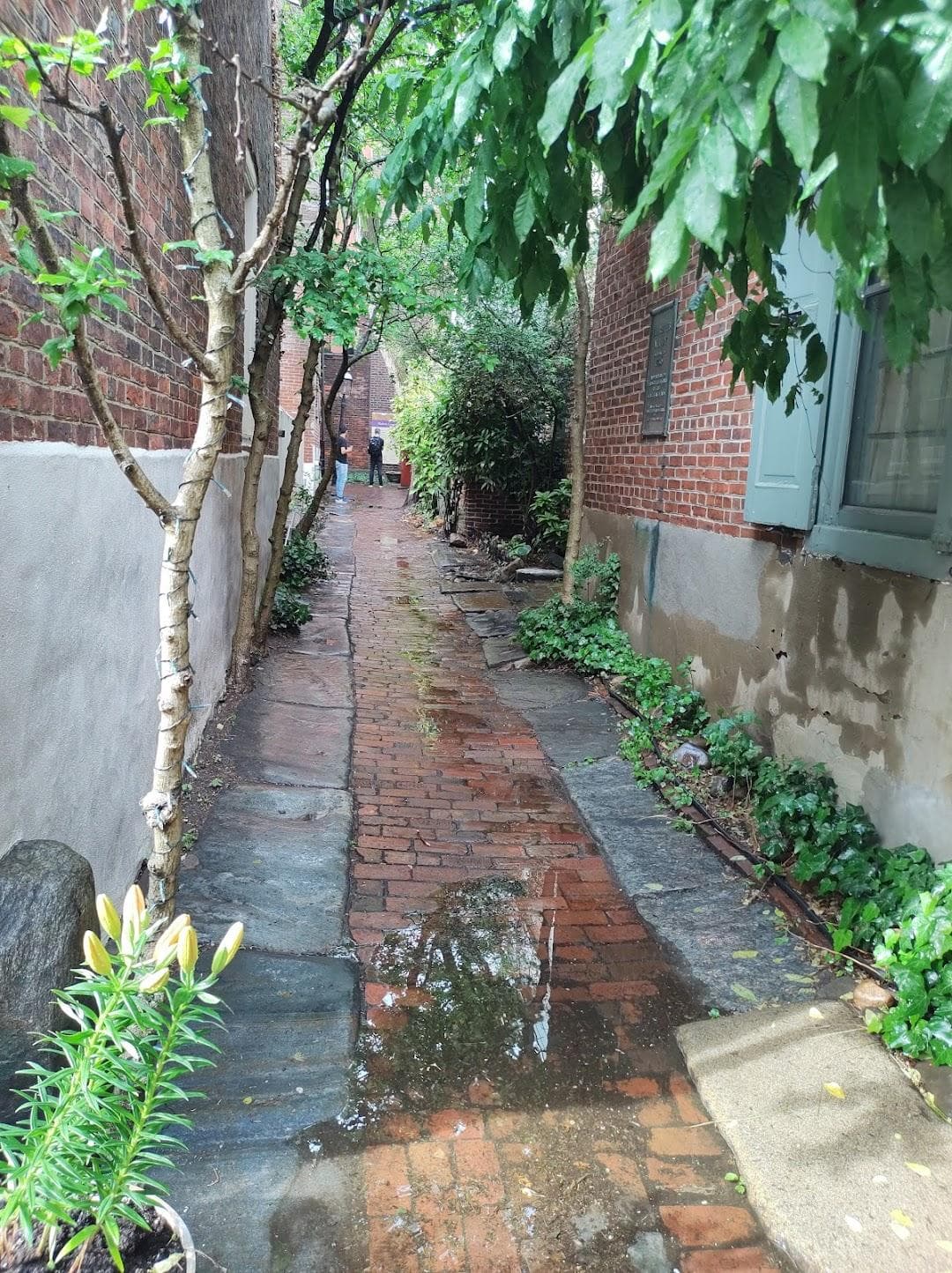Elfreth's Alley photo 6