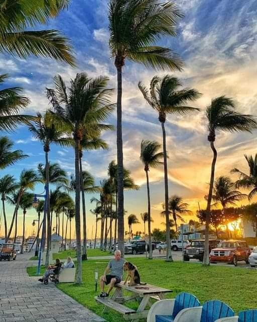 Coconut Grove photo 3