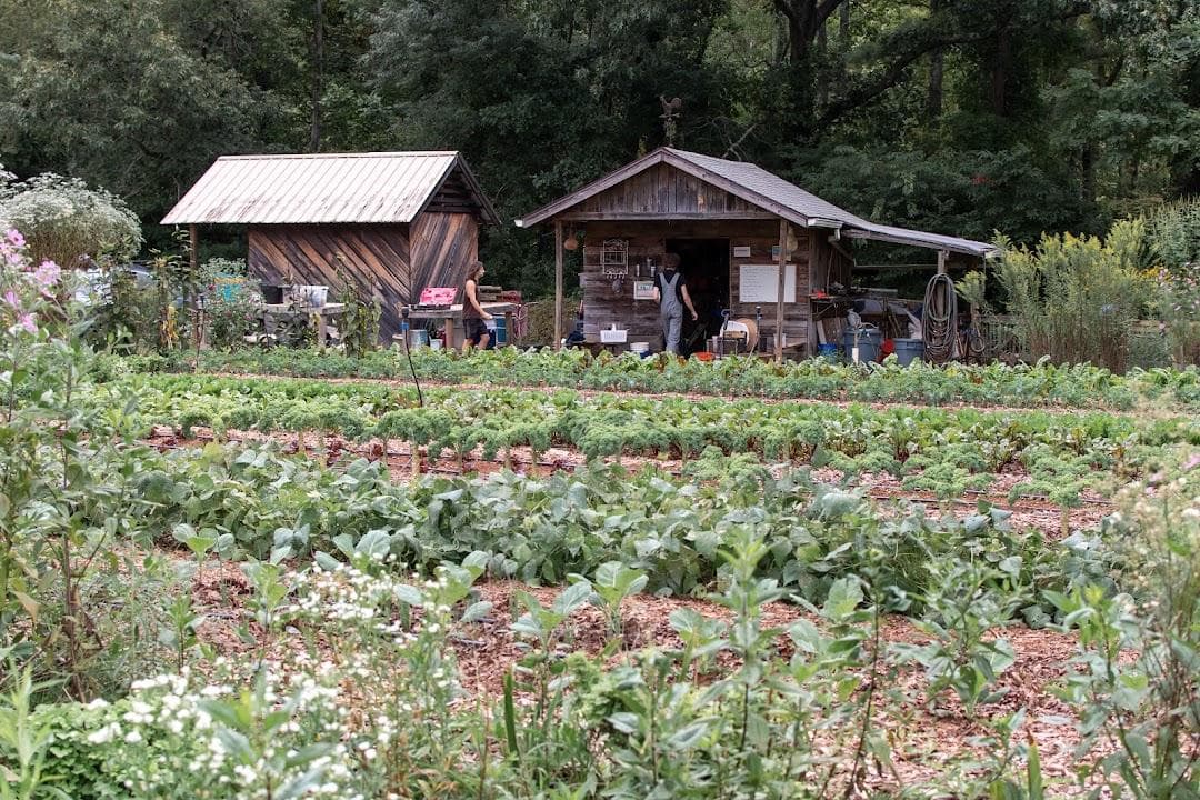 Root Cause Farm at The Lord's Acre photo 3