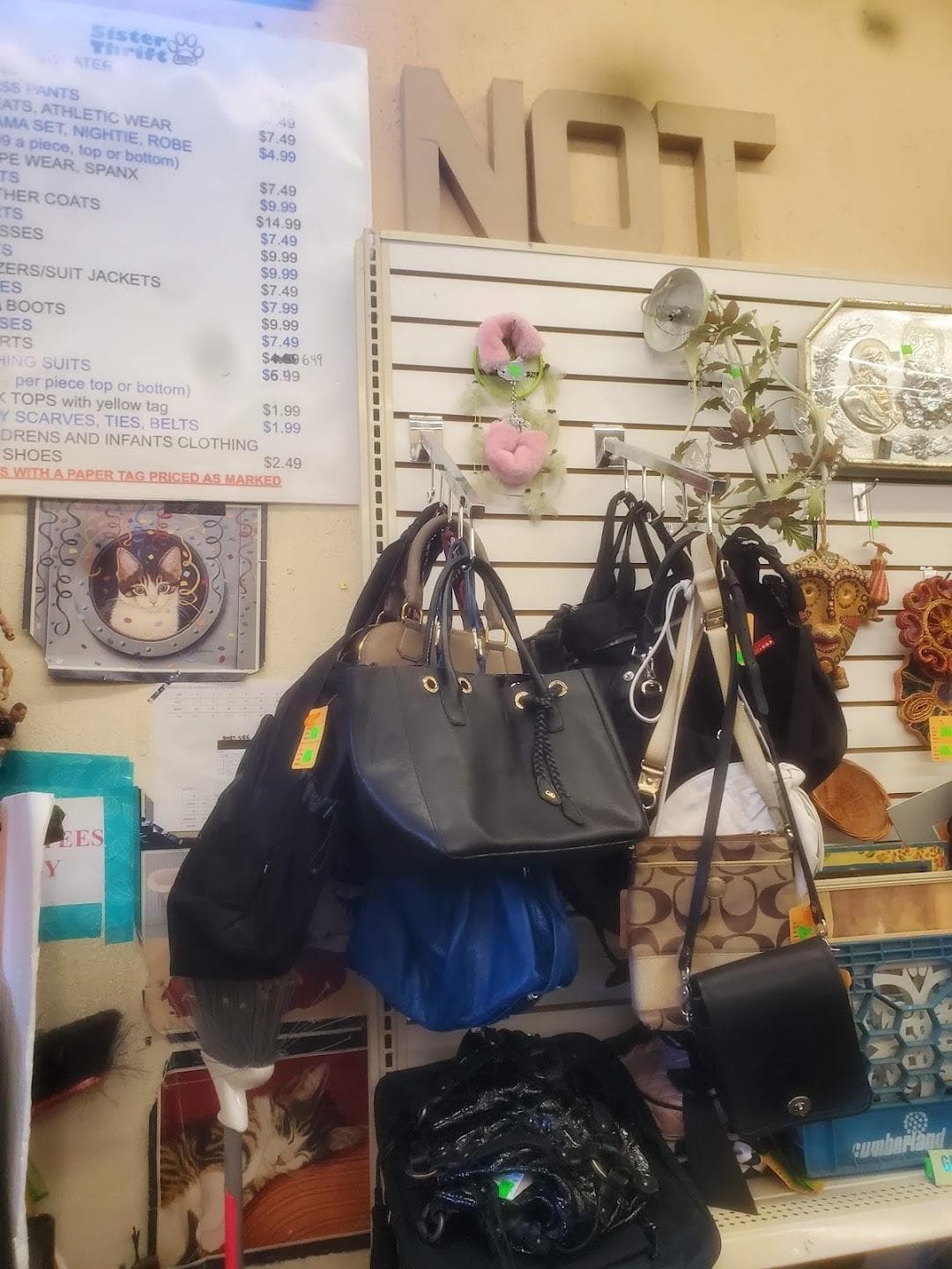 Sister Thrift photo 6