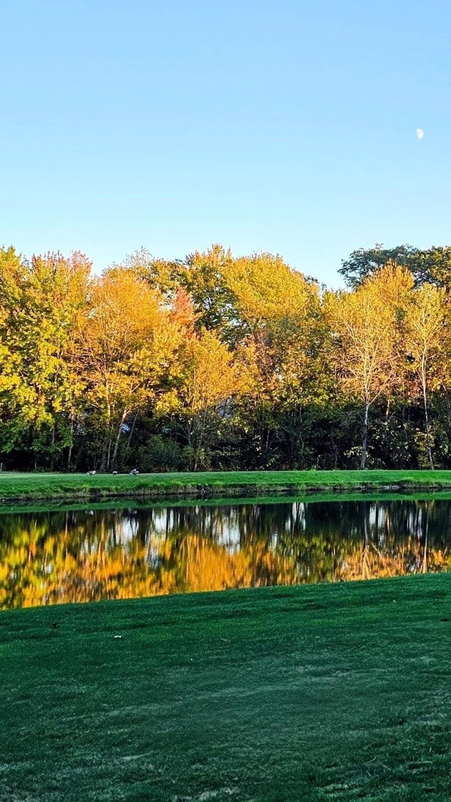 The Course @ Tree House photo 1
