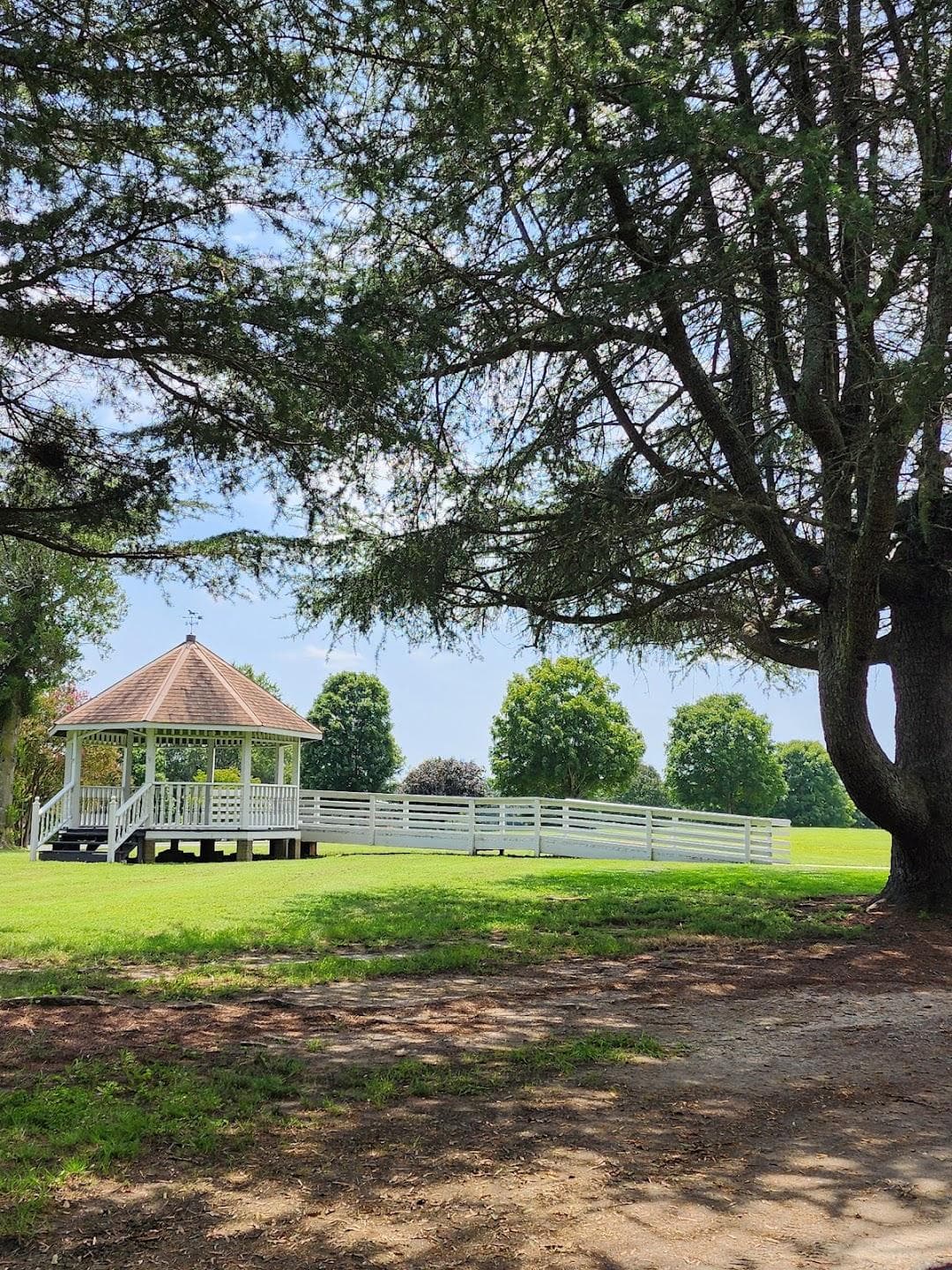 Dallas Park photo 6