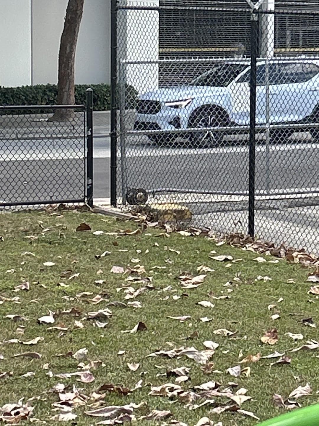 Broward Circle Park photo 6