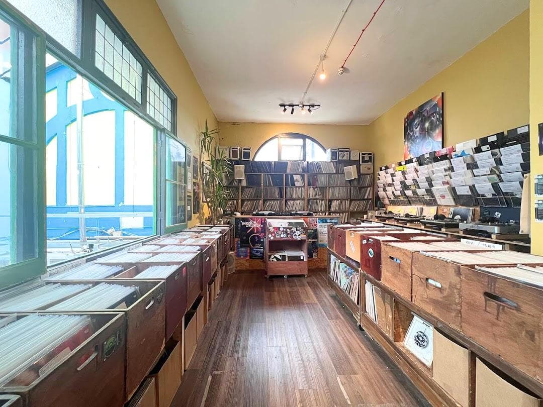 Palace Vinyl photo 1