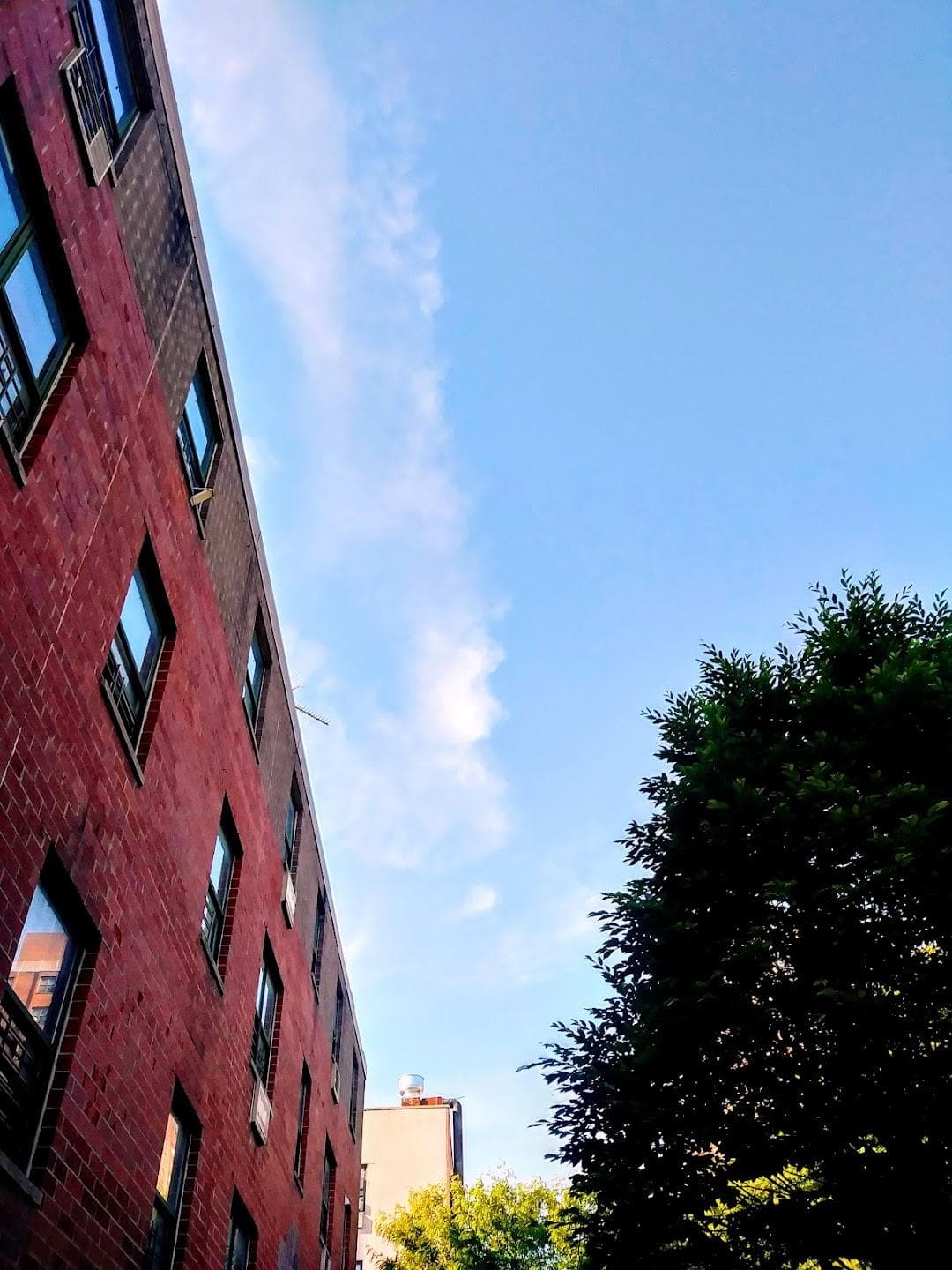 Eldridge Street photo 6