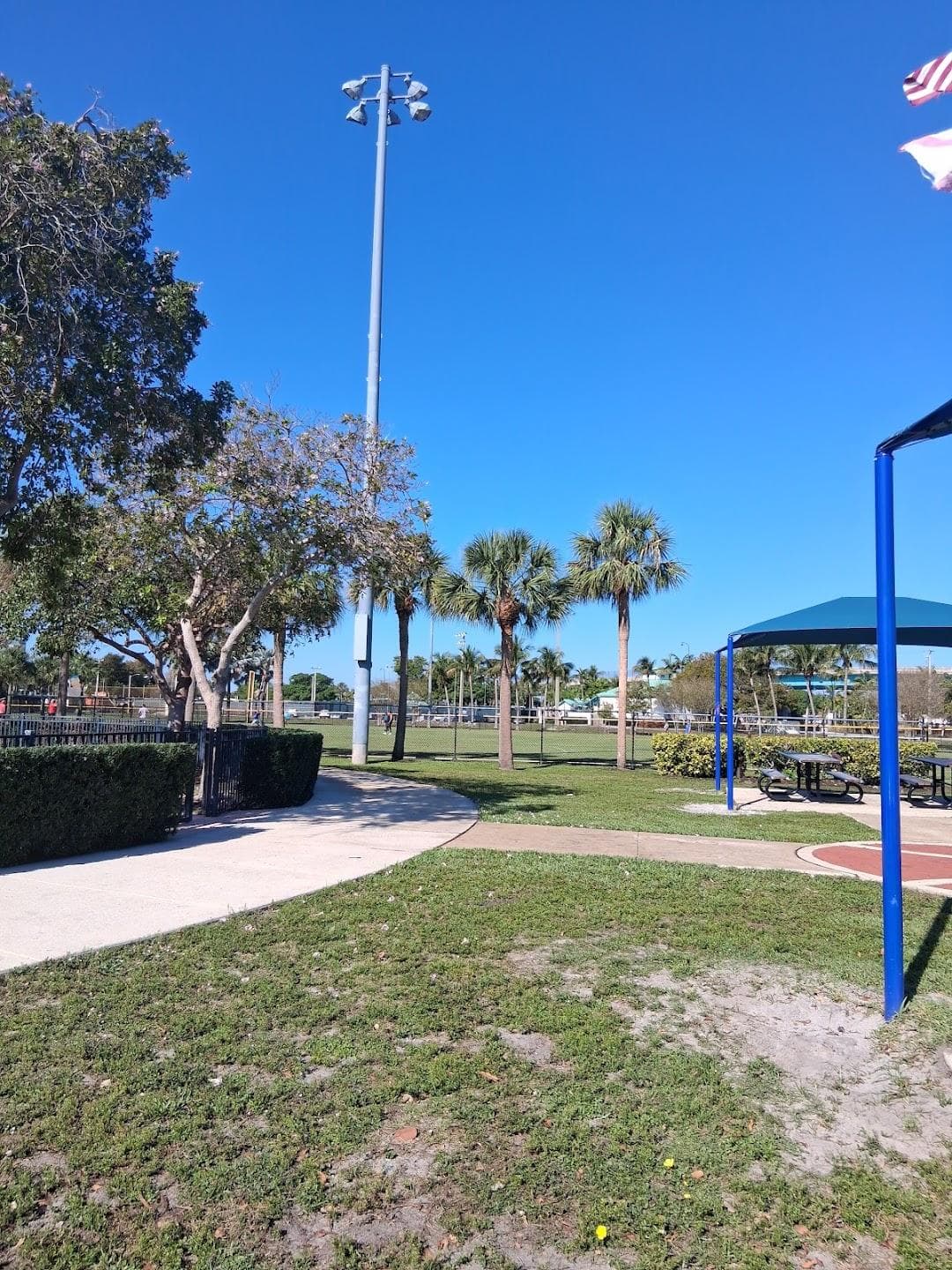Pioneer Park photo 4