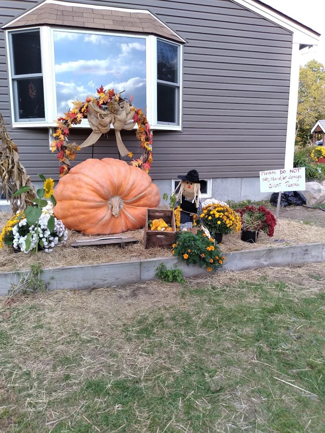 Nihtila Farm photo 6