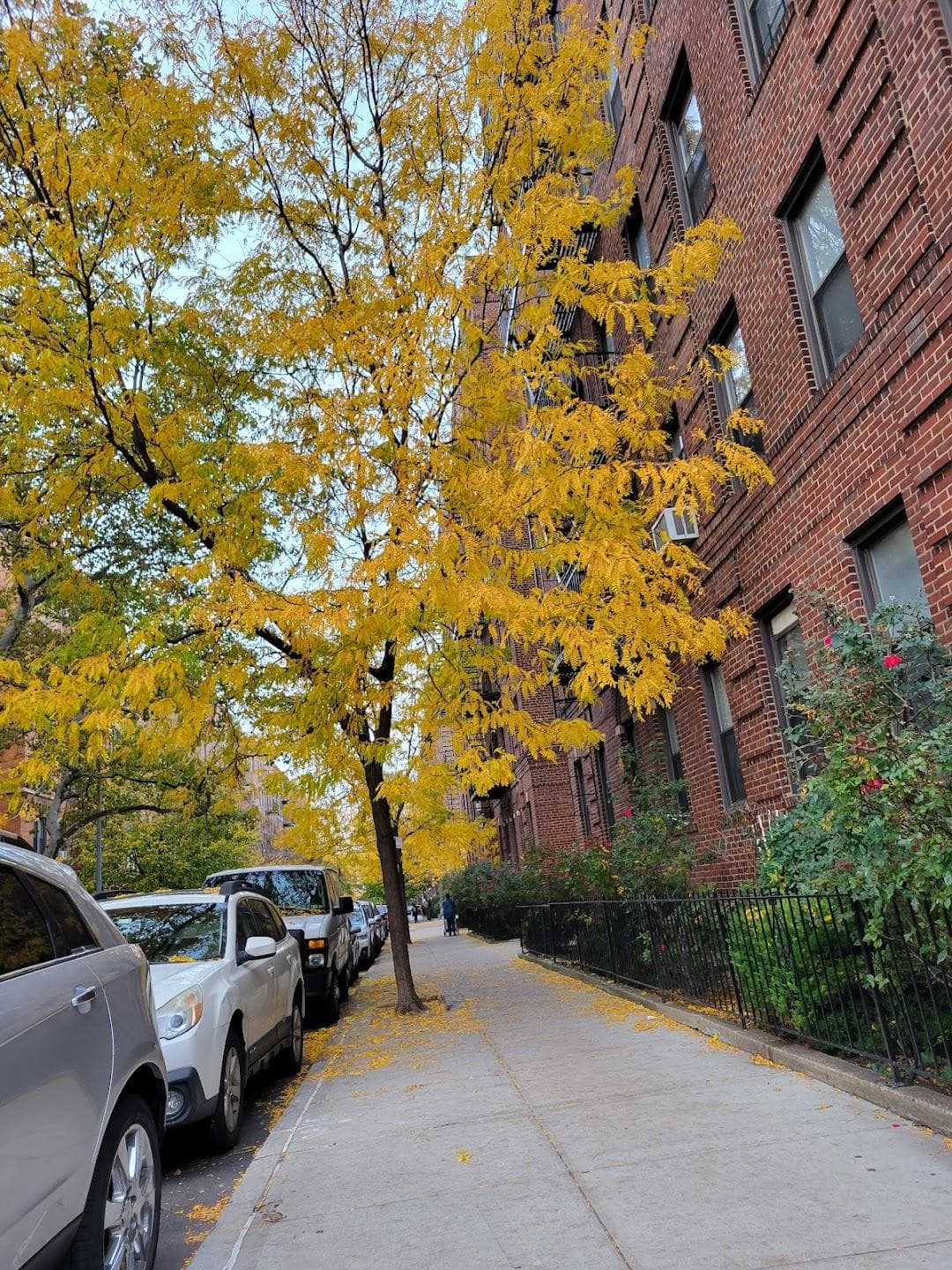 Sunnyside photo 3