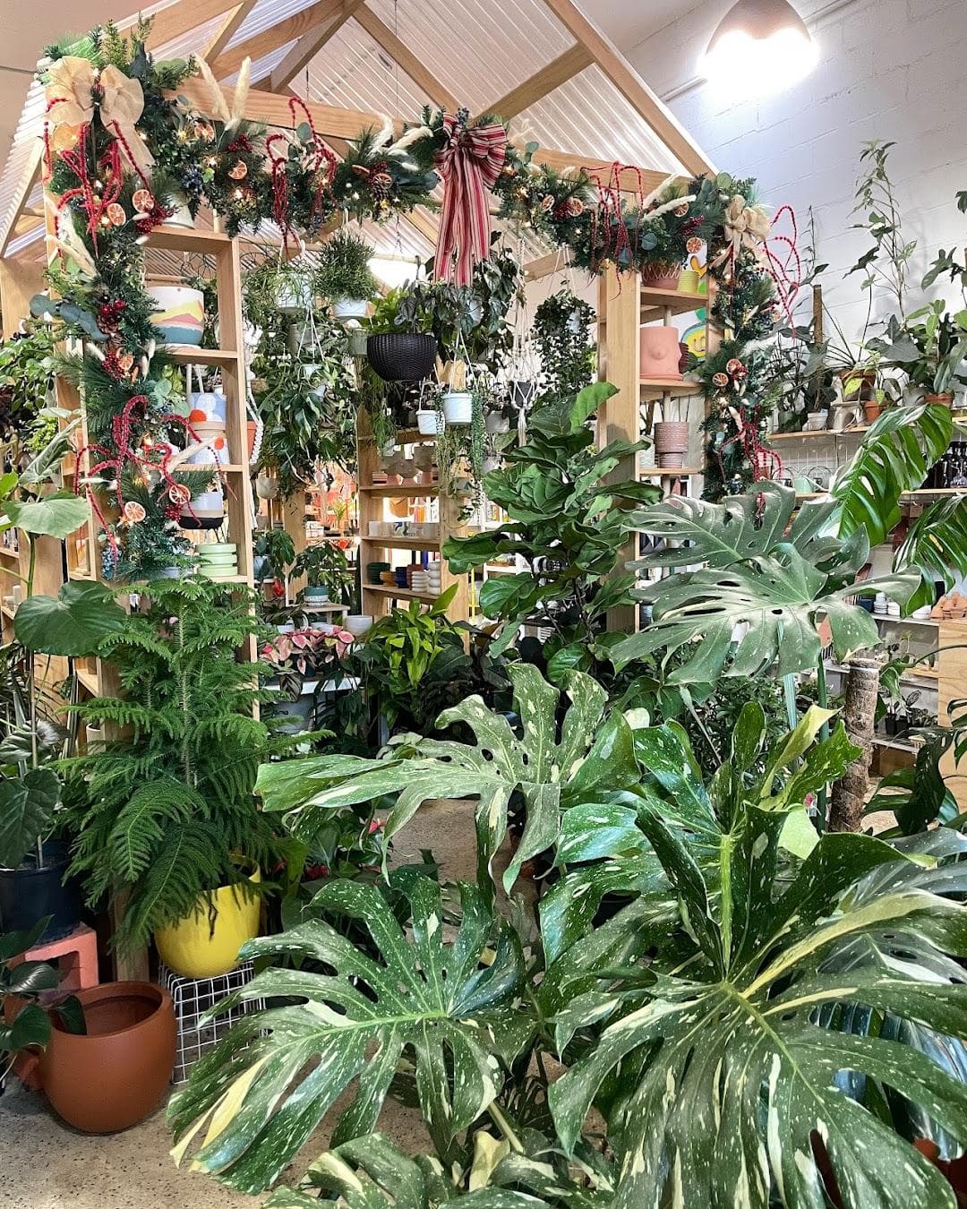 Little Shop of Soil photo 2